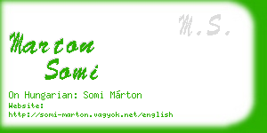 marton somi business card